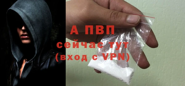 СК Дмитровск
