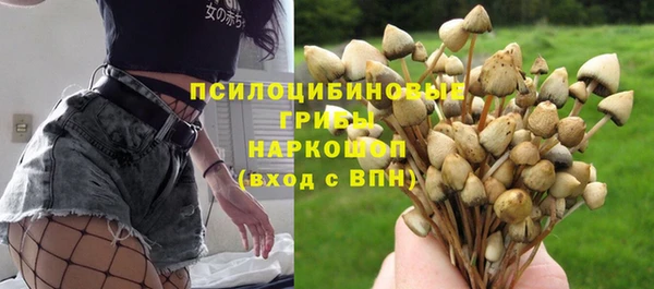 каннабис Дмитриев