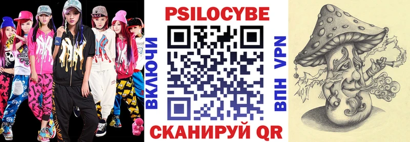 Купить  Каменногорск  Галлюциногенные грибы MAGIC MUSHROOMS 